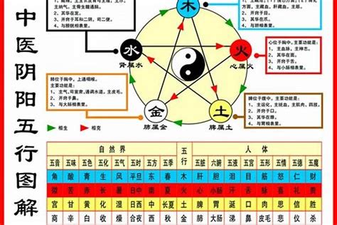 台灣五行屬性|【怎麼看自己的屬性】怎麼準確預測自己的屬性？一次搞懂五行體。